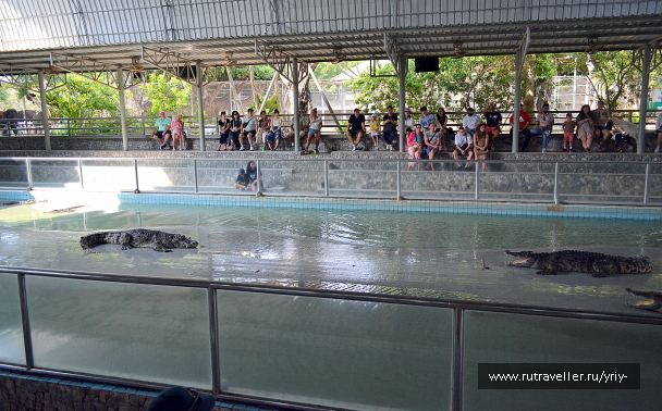 photo 2152055
