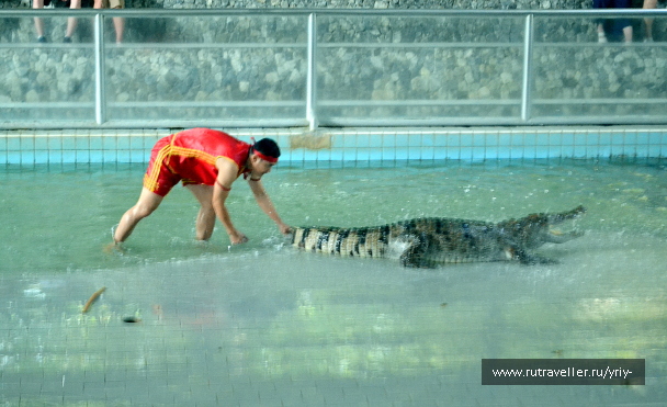 photo 2155790