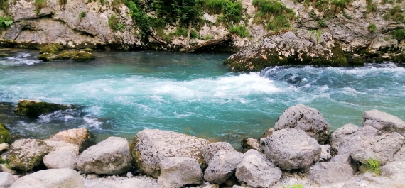 photo 2137816