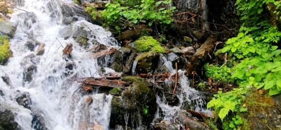 photo 2141458