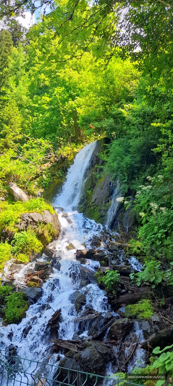 photo 2145523