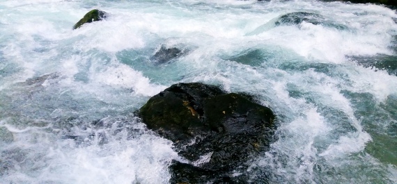 photo 2147281