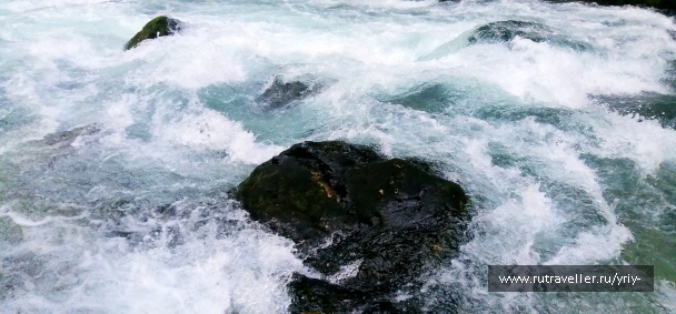 photo 2147281