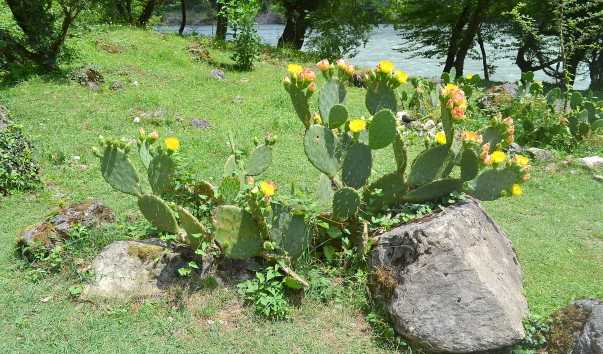 DSC_03276.JPG