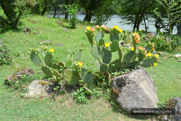 photo 2151605