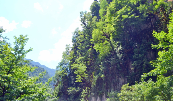 DSC_03304.JPG