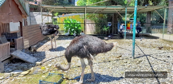 photo 2136193