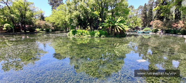 photo 2137175