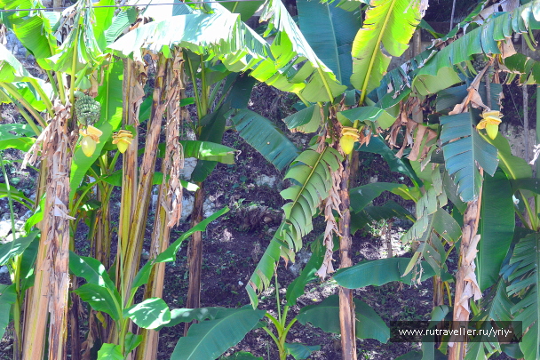 photo 2151734