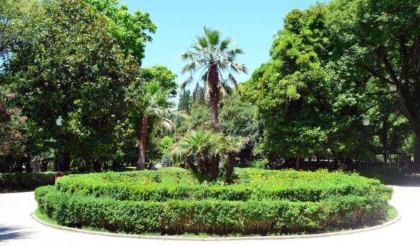 DSC_03741.JPG