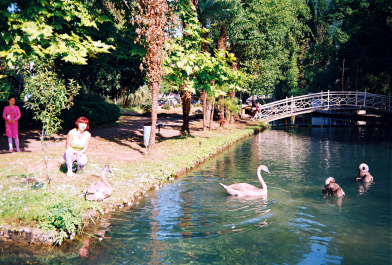 photo 665915