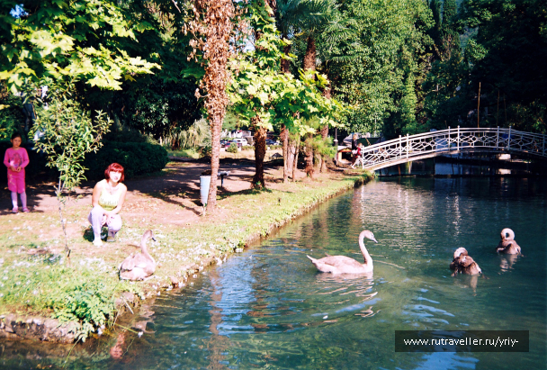 photo 665915