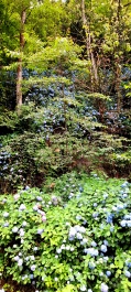 photo 2135212