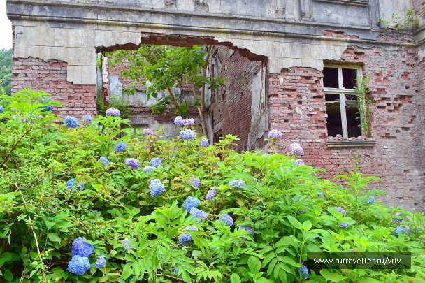 photo 2151578