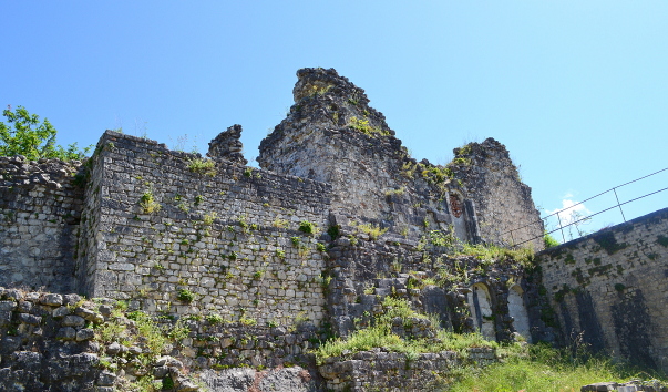DSC_03670.JPG