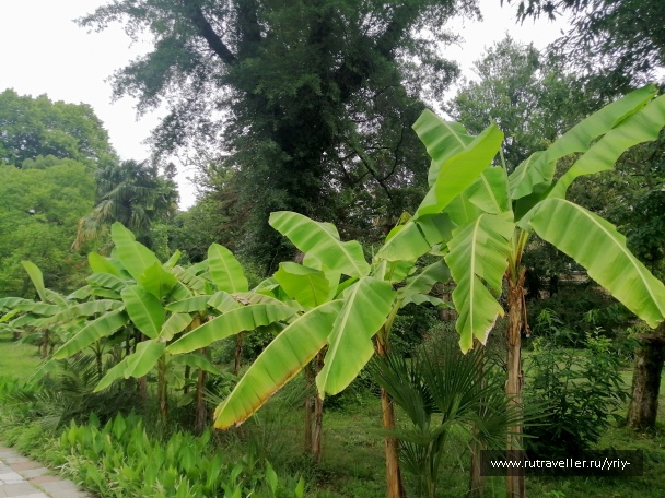 photo 2142061