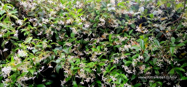 photo 2162152