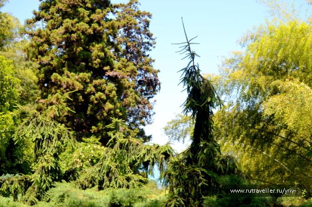 photo 2162356
