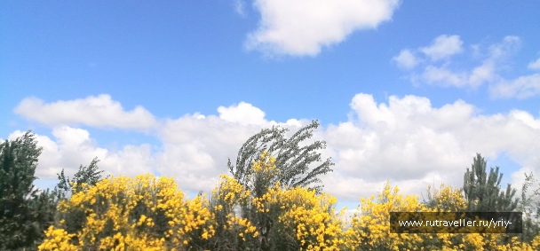photo 2159315