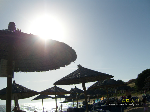 photo 249467