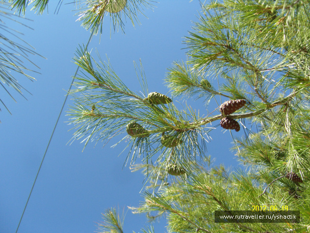 photo 249469