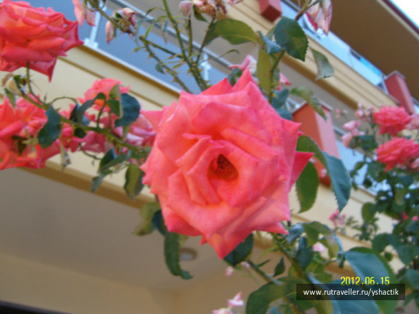 photo 249471