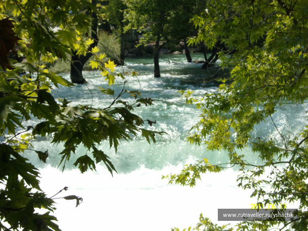 photo 274746