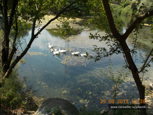 photo 507787