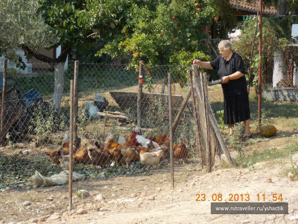 photo 507790