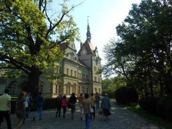 photo 880503
