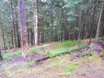 photo 884303