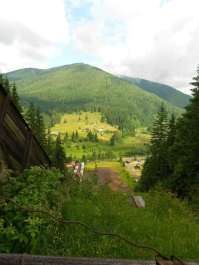 photo 884304