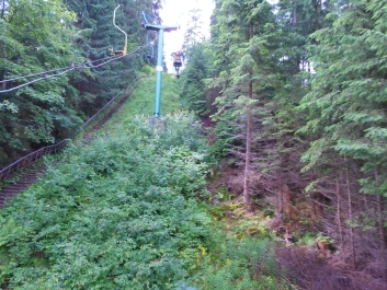 photo 884307