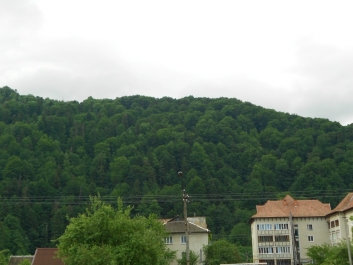 photo 884310