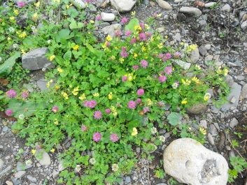 photo 884353