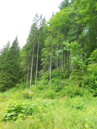 photo 884356