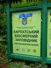 photo 884366