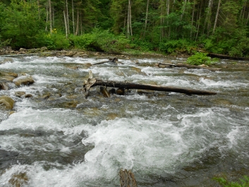 photo 884370