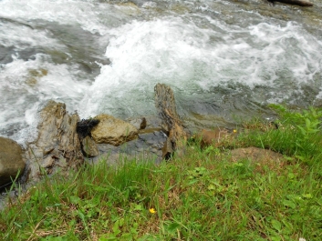 photo 884371