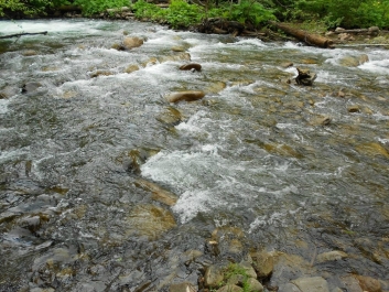 photo 884372