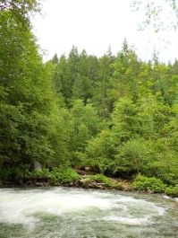 photo 884373