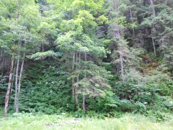 photo 884381