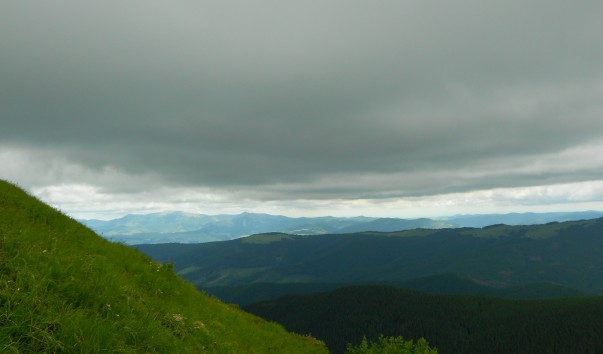 DSCN0198