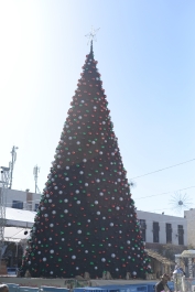 photo 938809