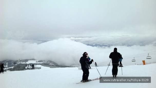 photo 668869