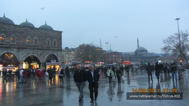 photo 425317