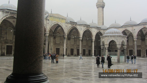 photo 425339