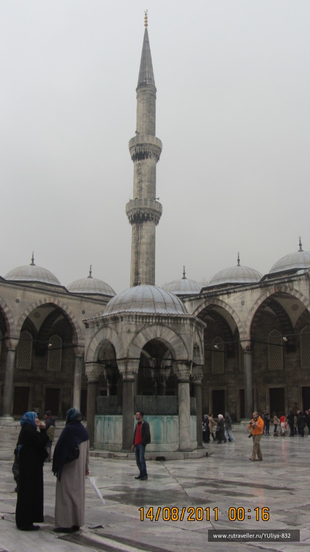 photo 425341