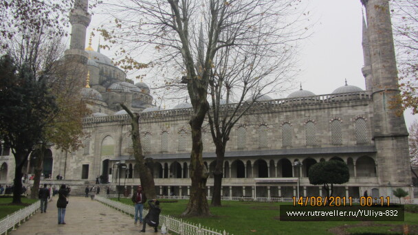 photo 425342
