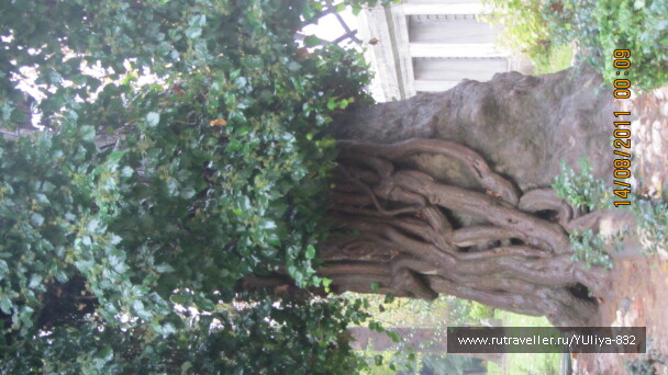 photo 425343